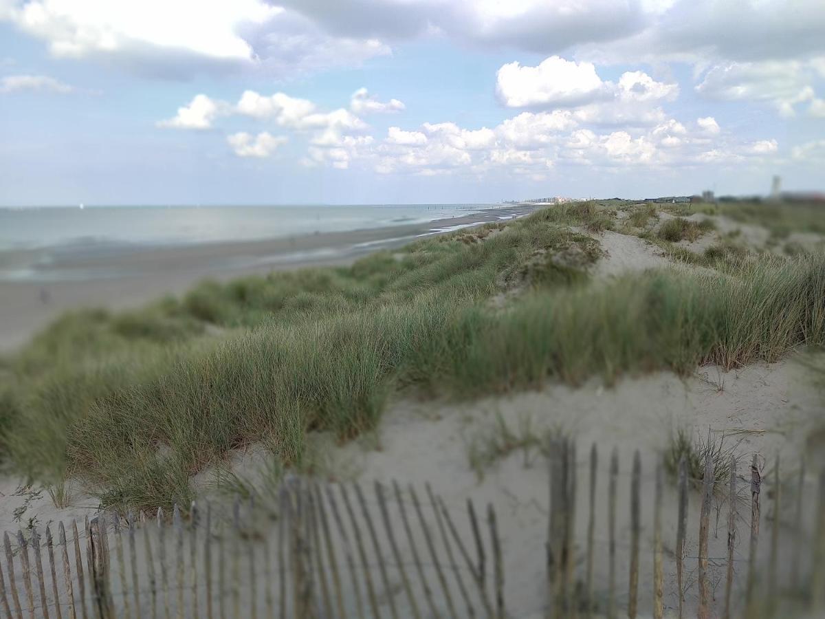 Studio Havenzicht Nieuwpoort Εξωτερικό φωτογραφία